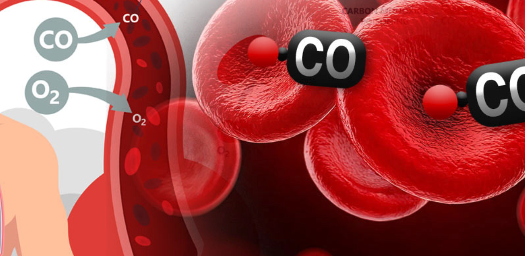 Carbon Monoxide molecules are attached to red blood cells in the blood stream.